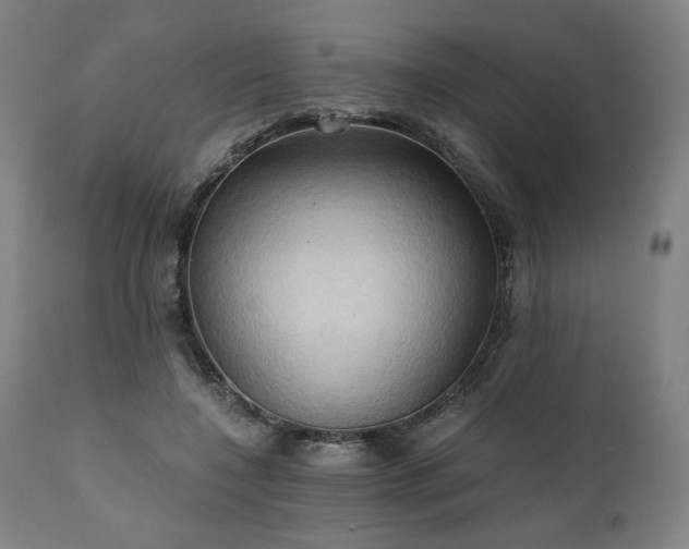 X0000111030548200906251307
