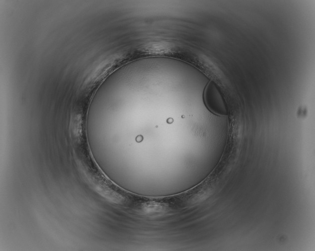 X0000111030549200906251307