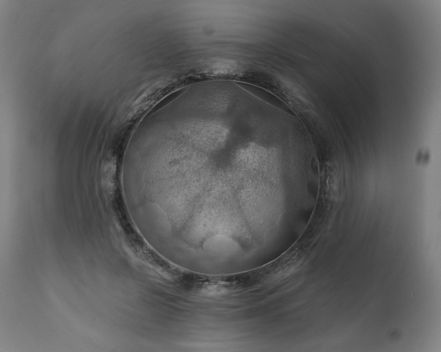 X0000111030550200906251307