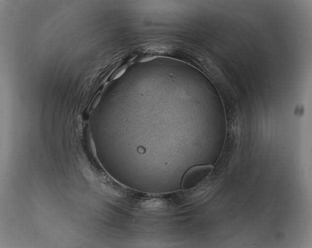 X0000111030551200906251307