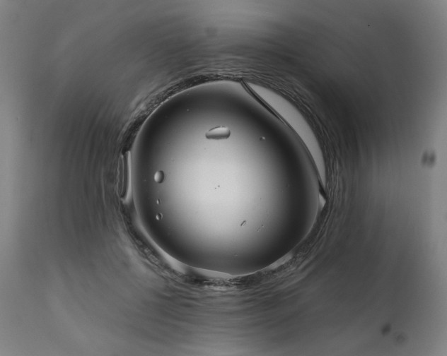 X0000111030552200906251307