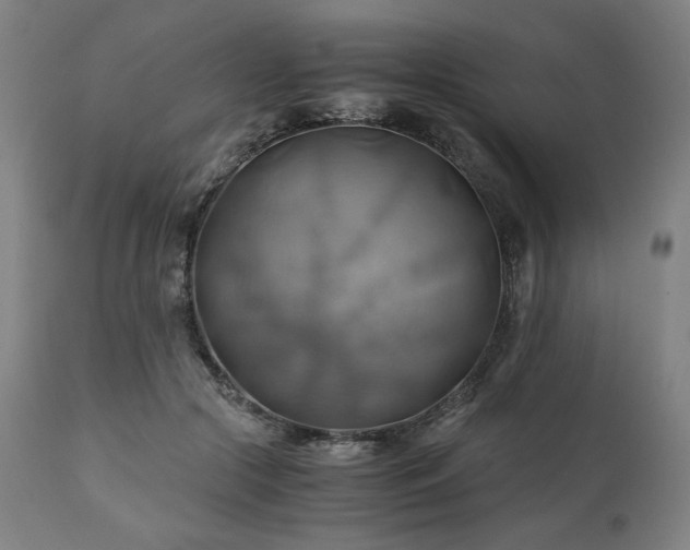 X0000111030553200906251307