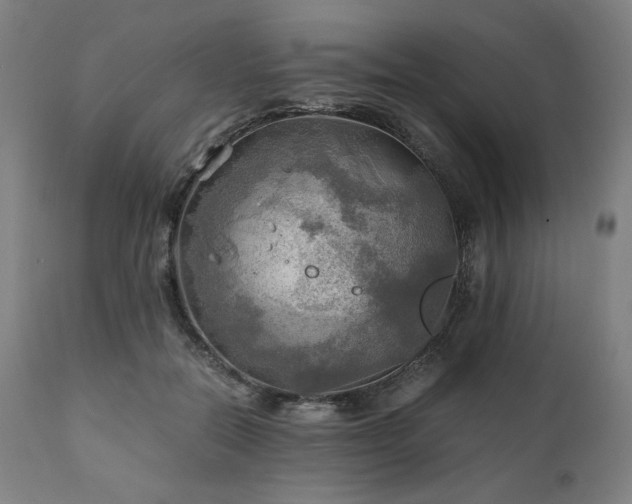 X0000111030554200906251307