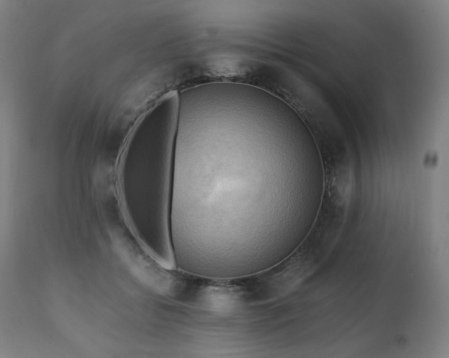 X0000111030556200906251307