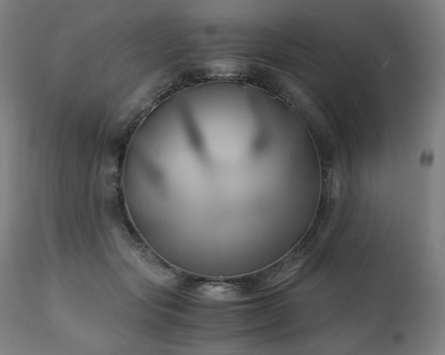X0000111030557200906251307