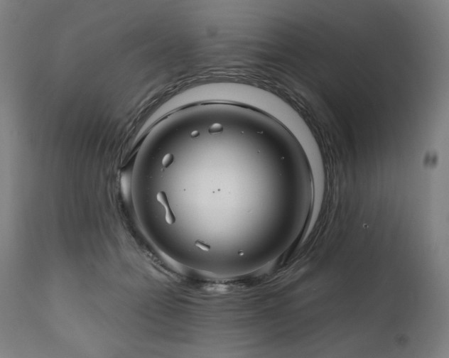 X0000111030558200906251307