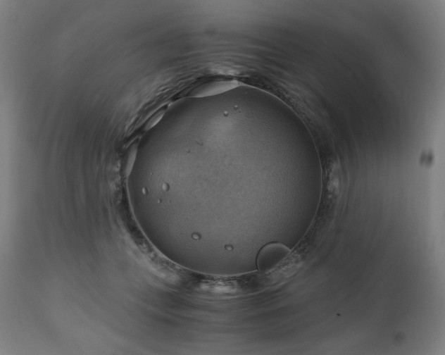 X0000111030559200906251307