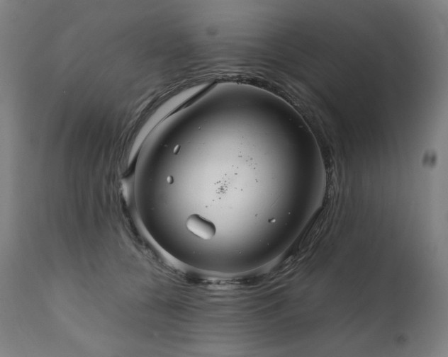 X0000111030560200906251307