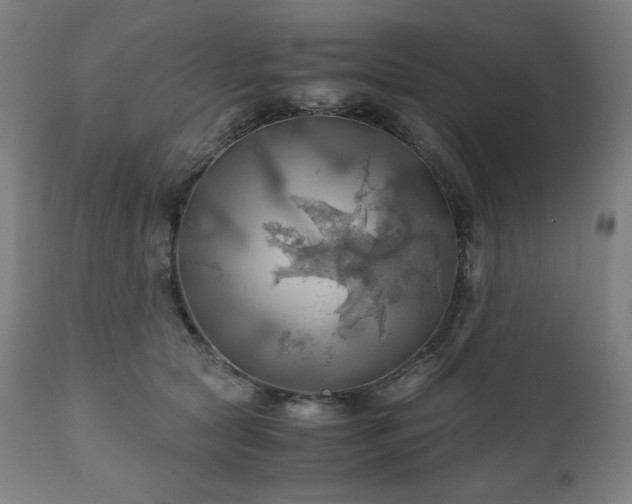 X0000111030561200906251307