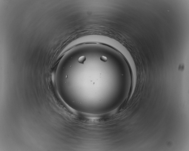 X0000111030562200906251307