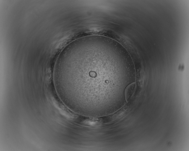 X0000111030563200906251307