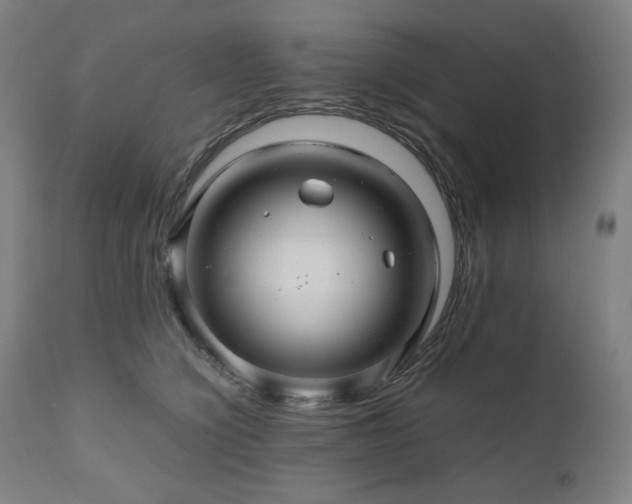 X0000111030564200906251307