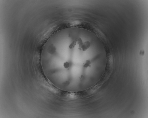 X0000111030565200906251308