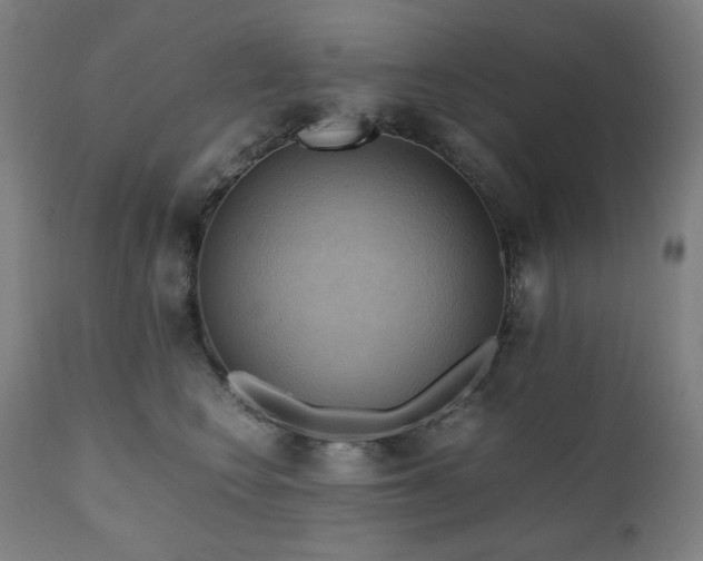 X0000111030566200906251308