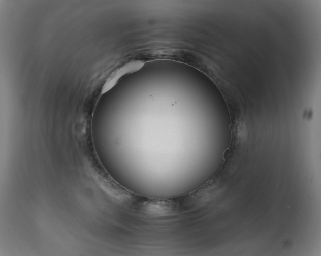 X0000111030567200906251308