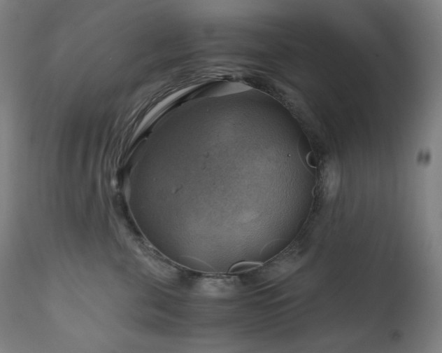 X0000111030571200906251308