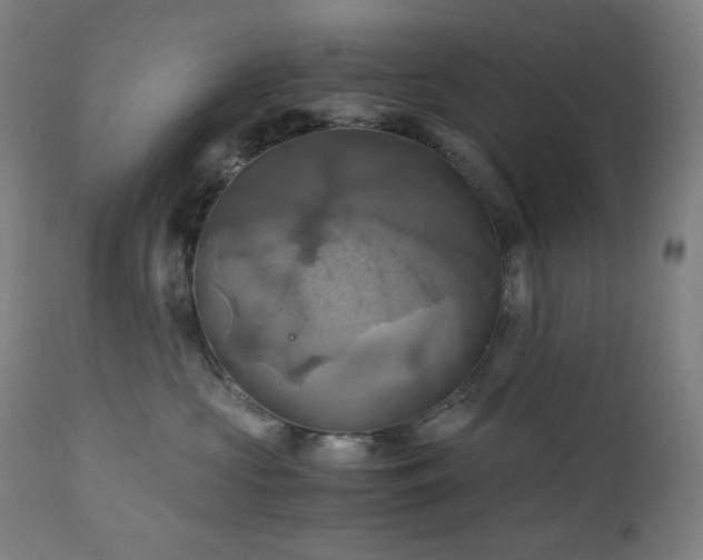 X0000111030573200906251308