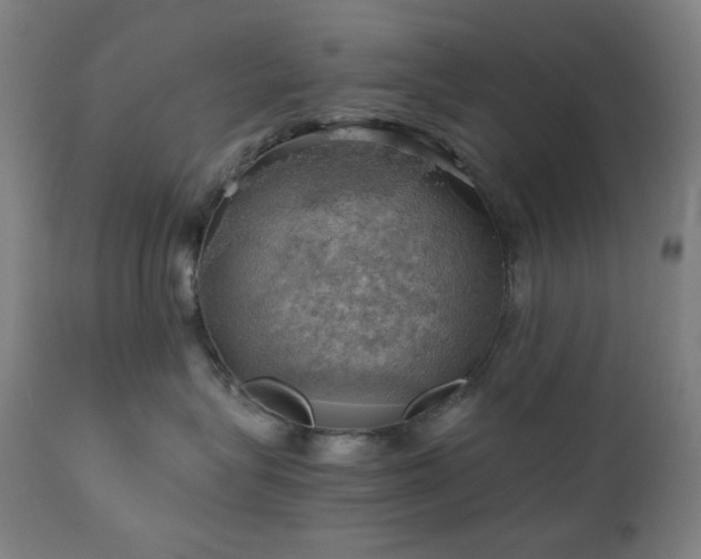 X0000111030575200906251308
