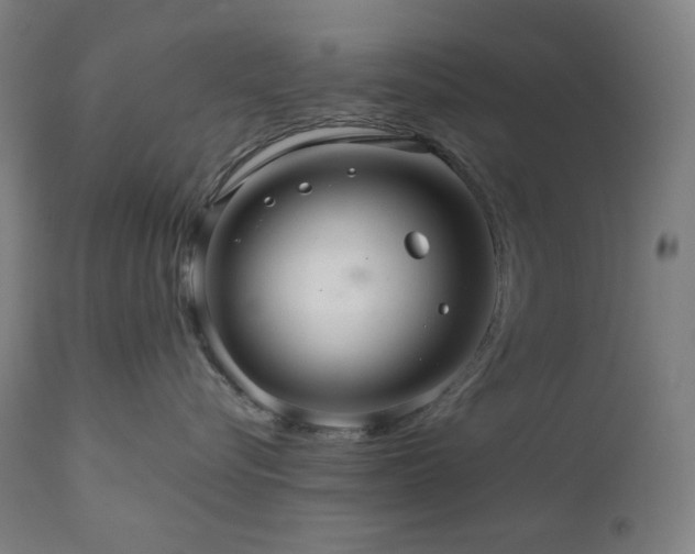 X0000111030576200906251308