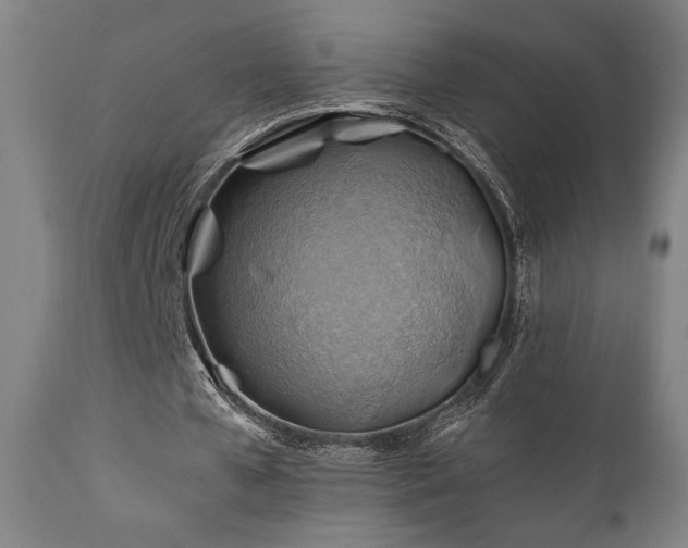 X0000111030577200906251307