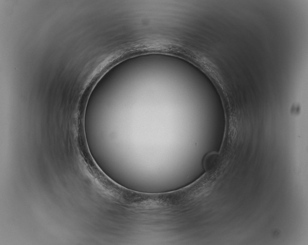 X0000111030578200906251307