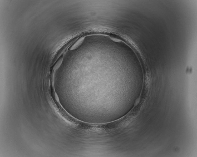 X0000111030581200906251307