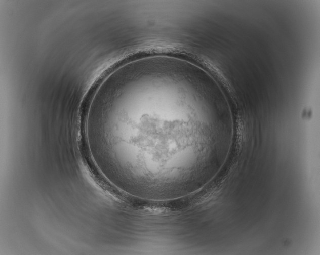 X0000111030582200906251307