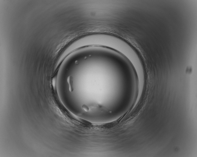 X0000111030585200906251307