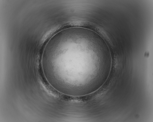 X0000111030586200906251307