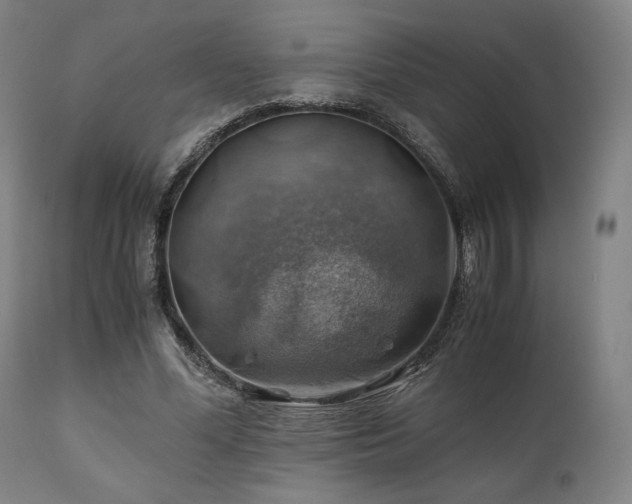X0000111030588200906251307