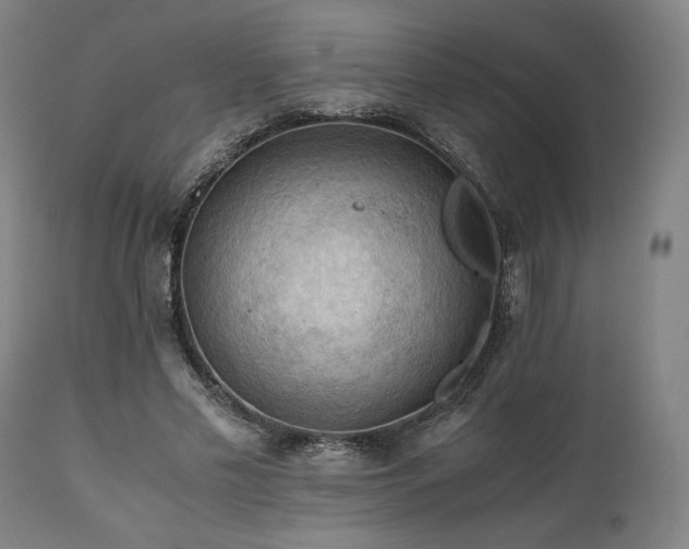 X0000111030589200906251307