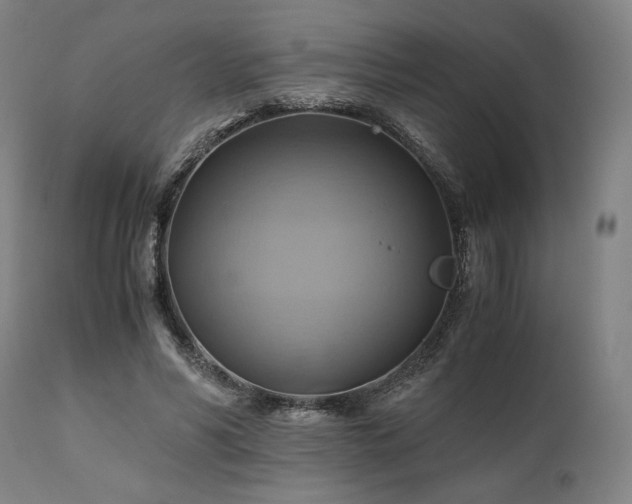 X0000111030590200906251307
