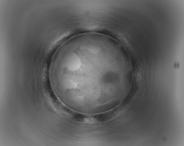 X0000111030591200906251307