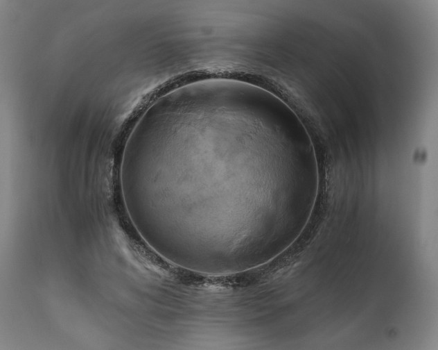 X0000111030592200906251307