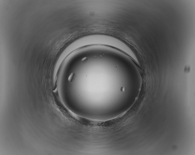 X0000111030593200906251307