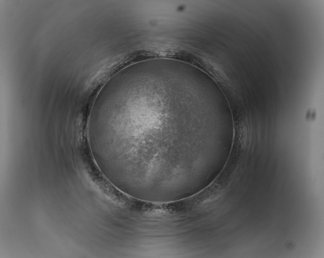 X0000111030594200906251307