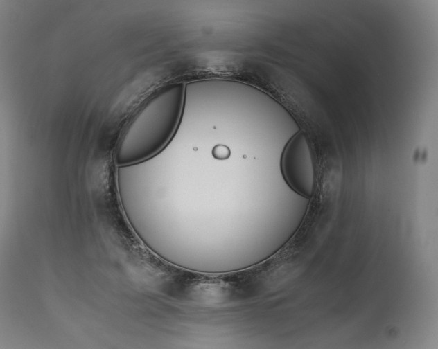 X0000111030595200906251307