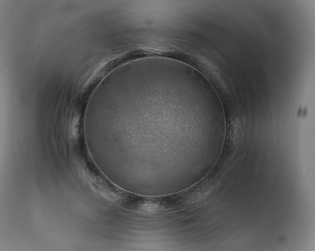 X0000111030596200906251307