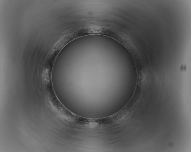 X0000111030598200906251307