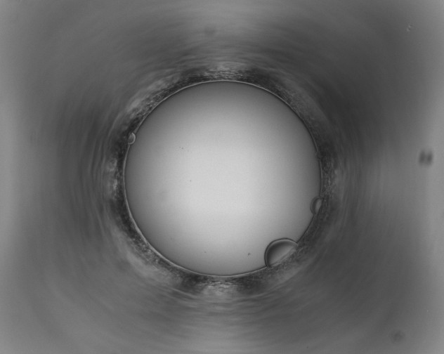 X0000111030599200906251307