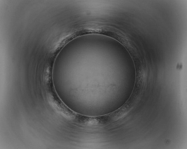 X0000111030600200906251306