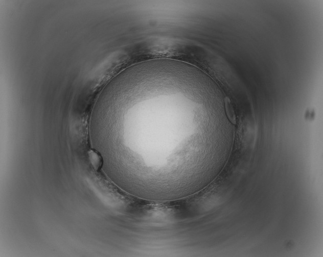 X0000111030601200906251306