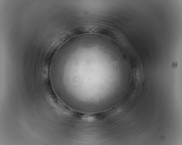 X0000111030602200906251306