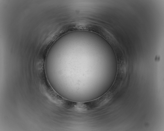 X0000111030603200906251306