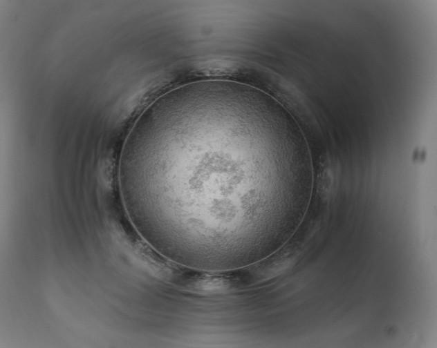 X0000111030604200906251306