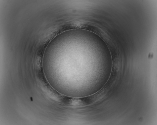 X0000111030605200906251306