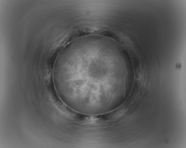 X0000111030607200906251306
