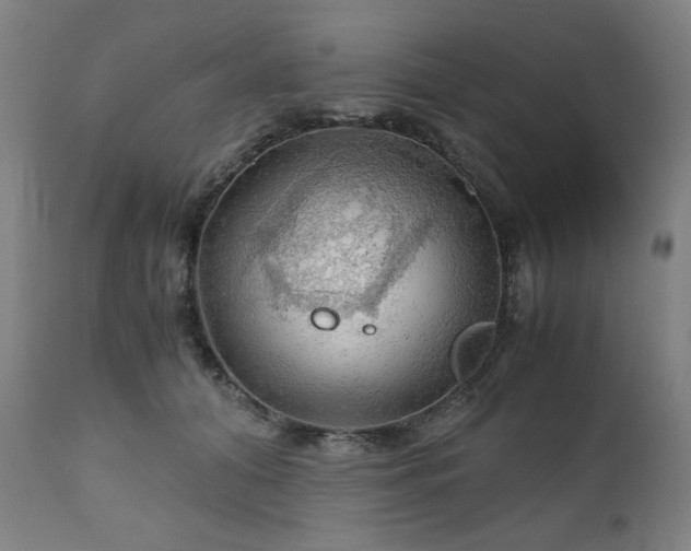 X0000111030608200906251306