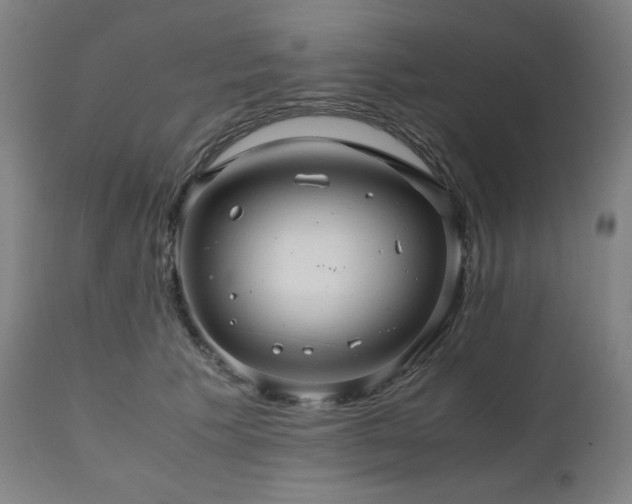 X0000111030609200906251306