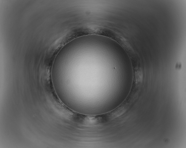 X0000111030613200906251306